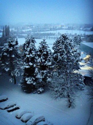 neige2010bis