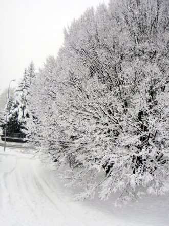 neige2010bis1